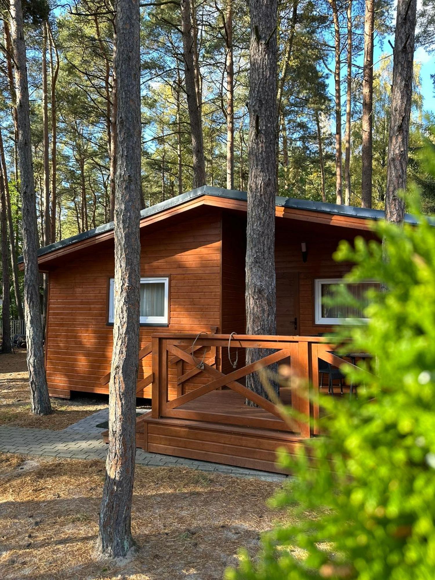 Campsite Letniskowe Arkadia *