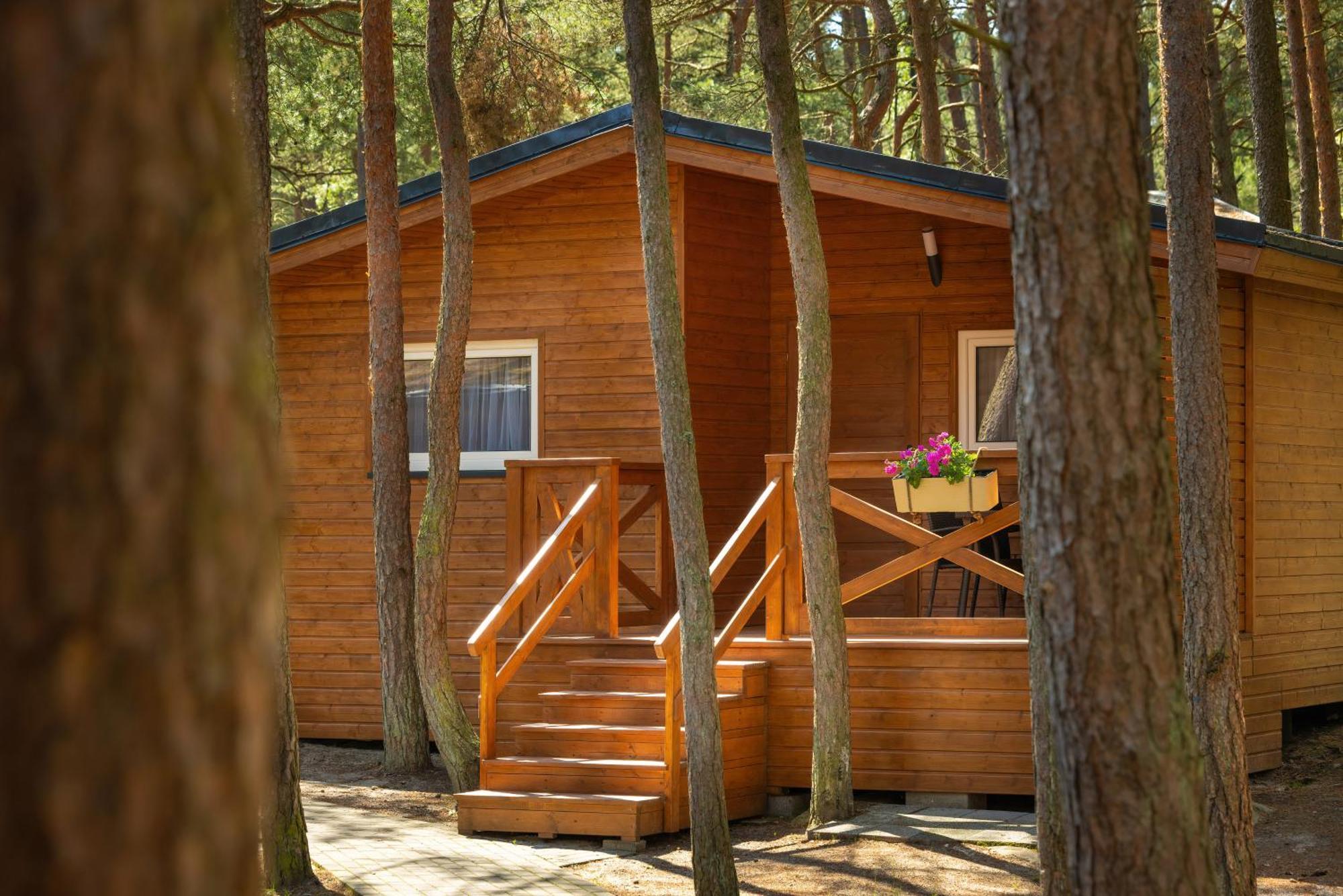 Campsite Letniskowe Arkadia *